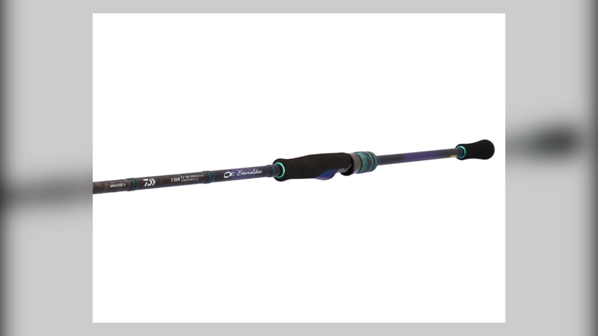 Daiwa Emeraldas X eging rod