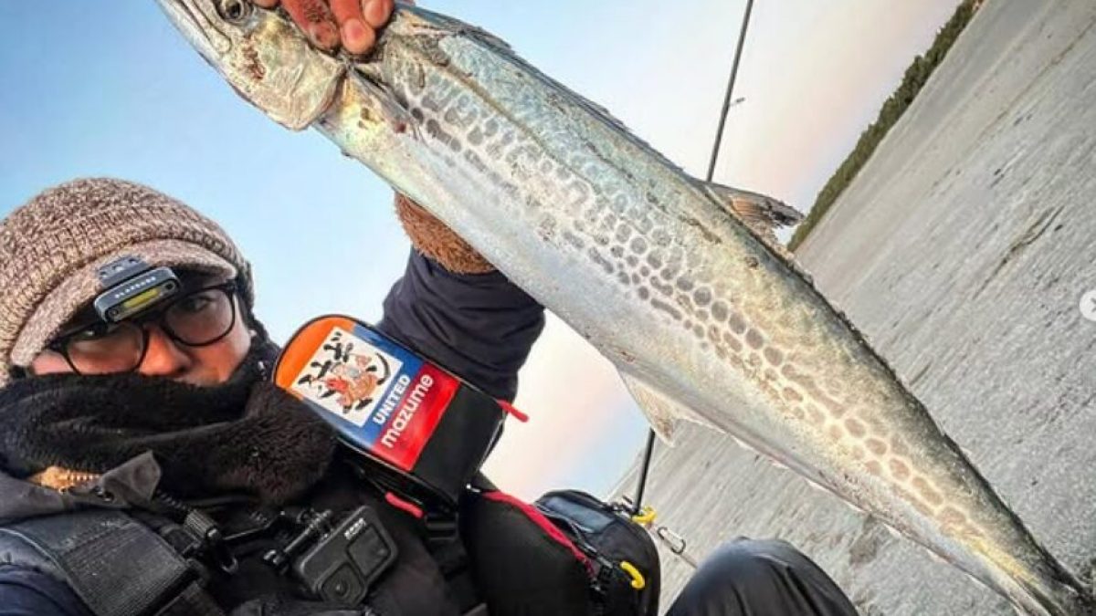 Spanish Mackerel (Sawara, Sagoshi) From the Beach: Lures and How to Stop the Bite-Offs