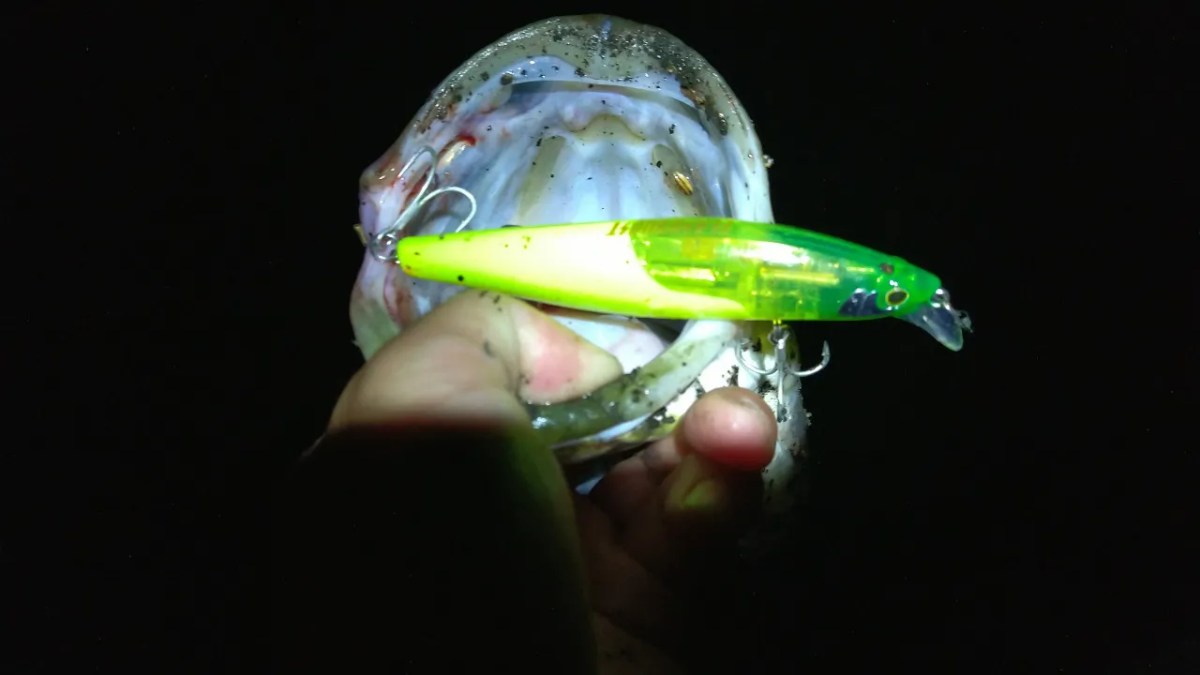 Shimano Exsence Silent Assassin minnow