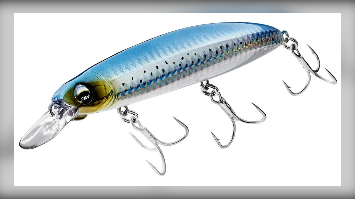 Aquawave Step Magic 120S: A Jerkbait for Pressured Spanish Mackerel