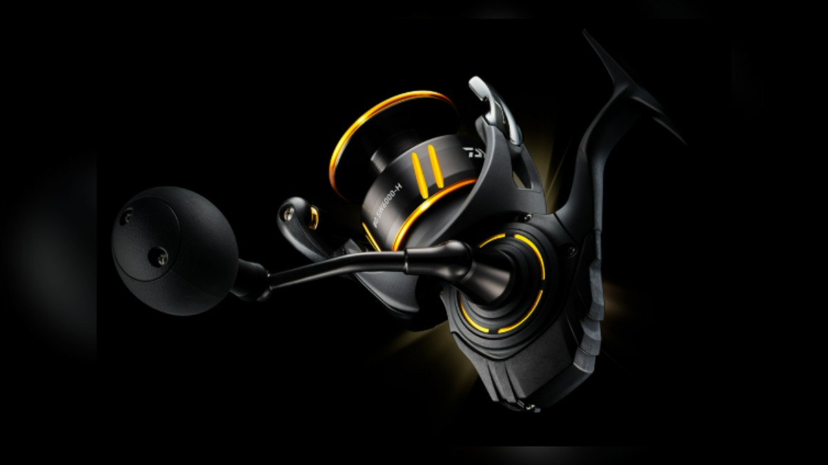 Daiwa 26 BG SW spinning reel