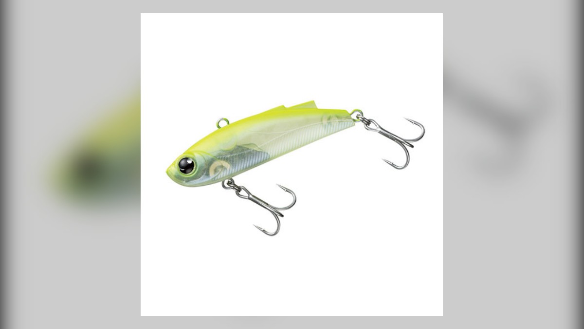 Daiwa Morethan Minient 57 Review: A Small, Tangle-Free Vibration for Harbours and Rivers