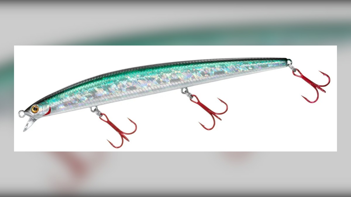 Daiwa Shoreline Shiner SL minnow