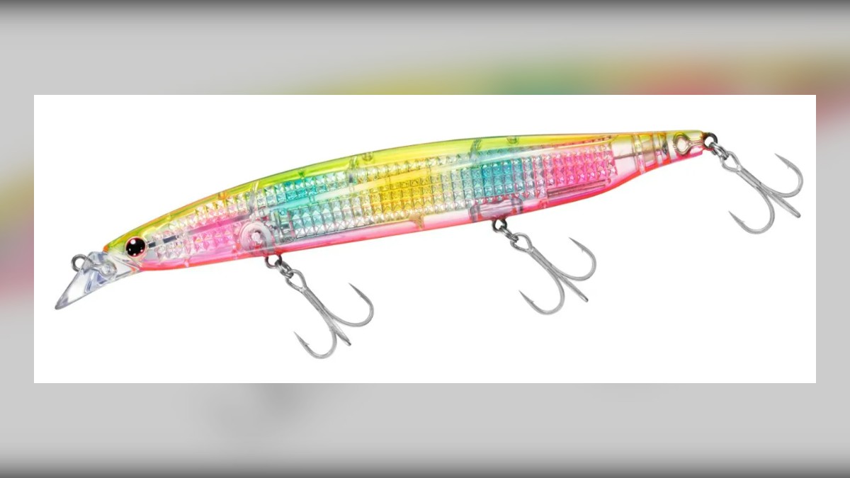 Daiwa Shoreline Shiner Z Vertice R 156