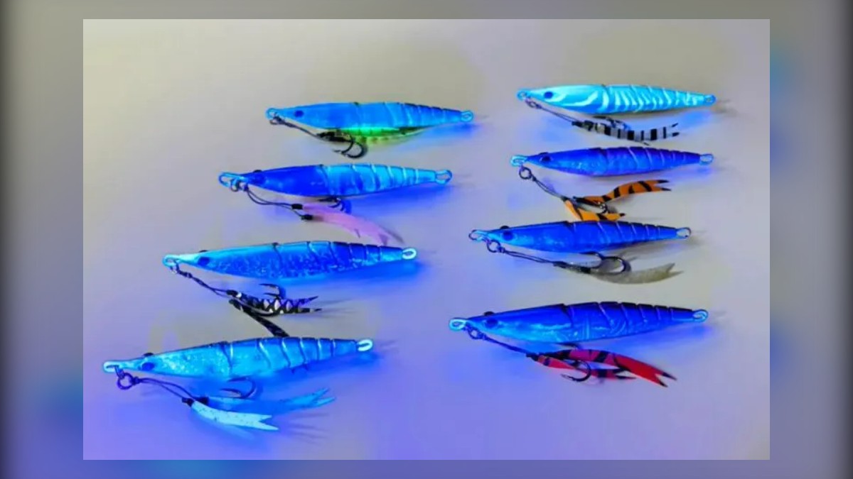 REAL FISHER Ebi Jig: A Shrimp-Shaped Metal Jig for Rockfish, Sea Bream and Yellowtail