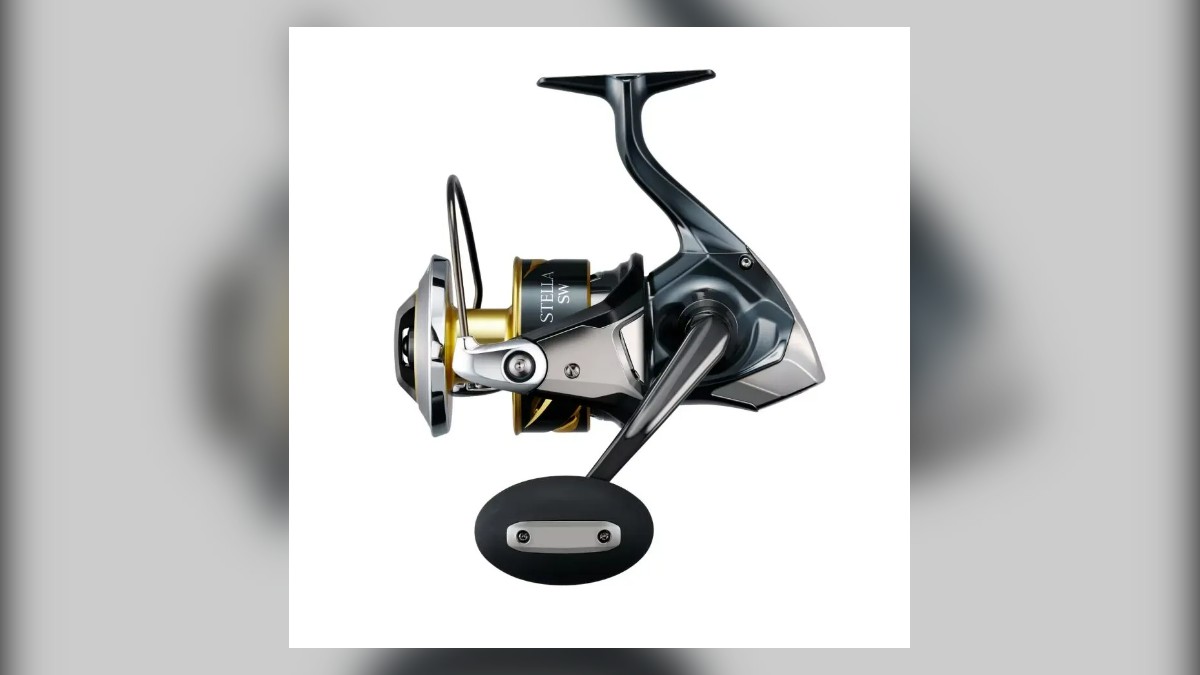 Shimano 25 Stella SW: XX Tough Drag, Specs and Which Model to Choose