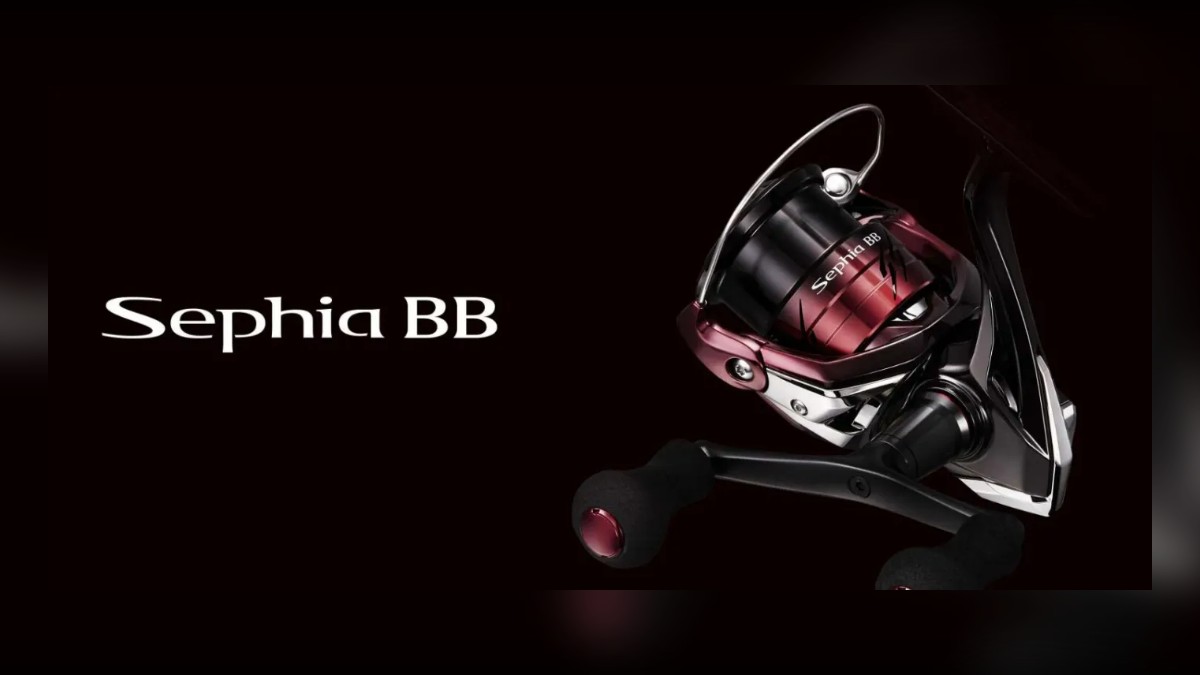 Shimano 26 Sephia BB: An Entry Eging Reel With High-End Technology