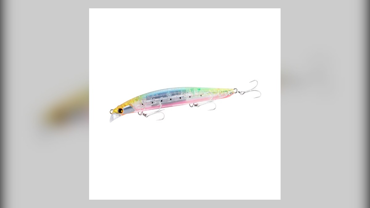 Shimano Nessa Spin Breeze Review: Long Casts for Shallow Surf Beaches