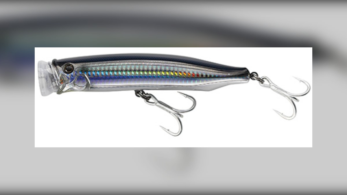 Tackle House Feed Popper: Every Size From 70 mm to 175 mm Explained